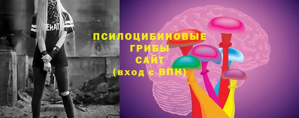 мдпв Гусь-Хрустальный