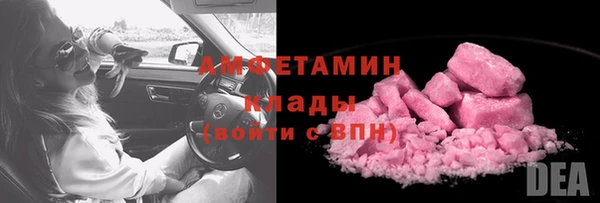 мдпв Гусь-Хрустальный