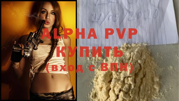 первитин Гусев
