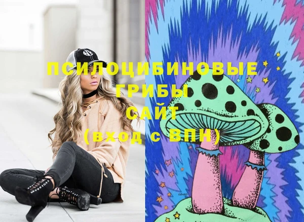 твердый Вязники