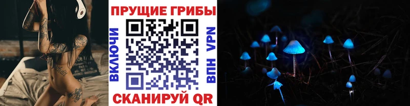 Псилоцибиновые грибы MAGIC MUSHROOMS  Гусиноозёрск 